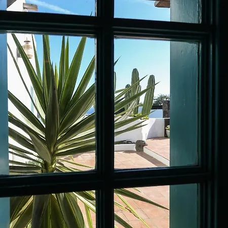 Villa Casa Camella *